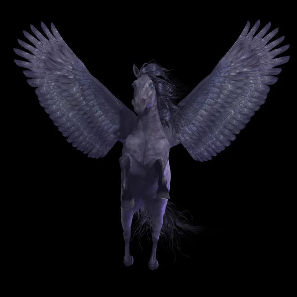 Svart Pegasus på svart — Stockfoto