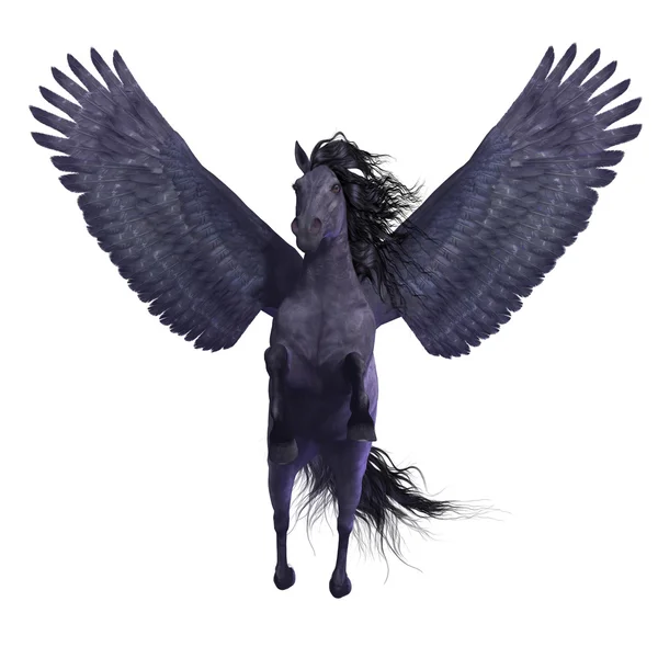 Schwarzer Pegasus auf Weiß — Stockfoto