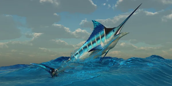 Blue Marlin Burst — Stock Photo, Image