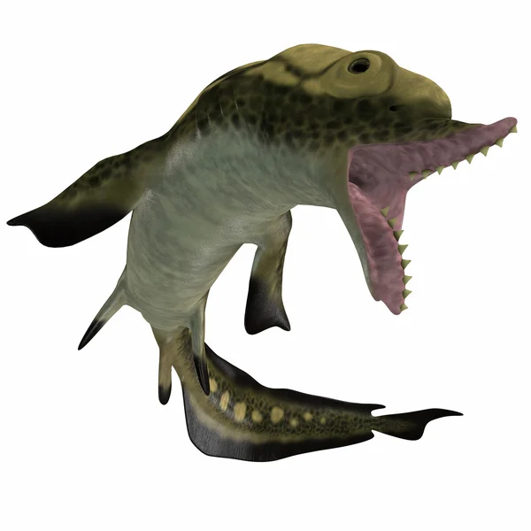 Carboniferous Edestus Shark — Stock Photo, Image