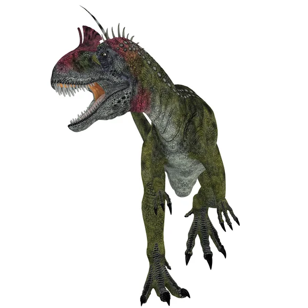 Cryolophosaurus Dinosaur agressie — Stockfoto