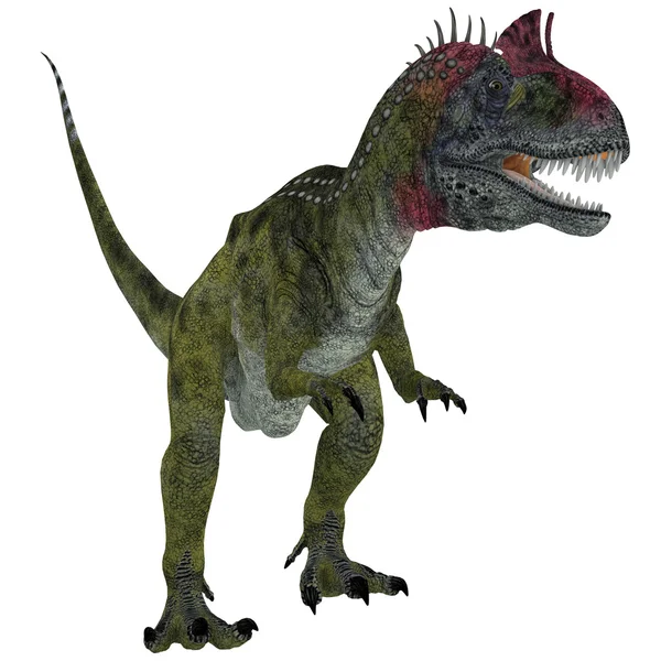 Cryolophosaurus auf weiß — Stockfoto