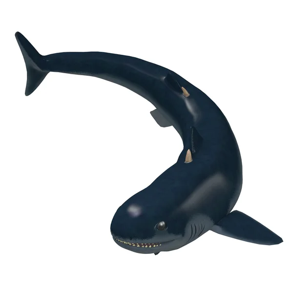 Tiburón Cladoselache Devónico — Foto de Stock