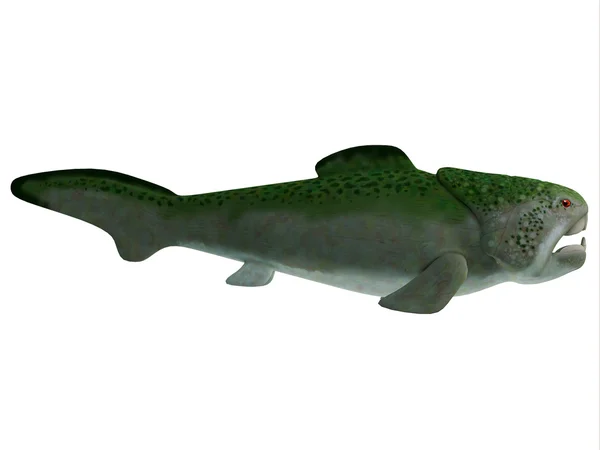 デボン紀 Dunkleosteus 魚 — ストック写真