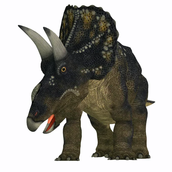 Nedoceratops biały — Zdjęcie stockowe