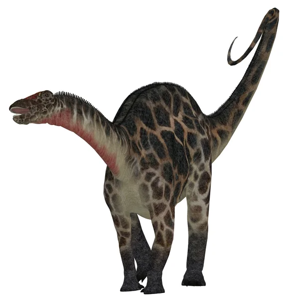 Dicraeosaurus em Branco — Fotografia de Stock