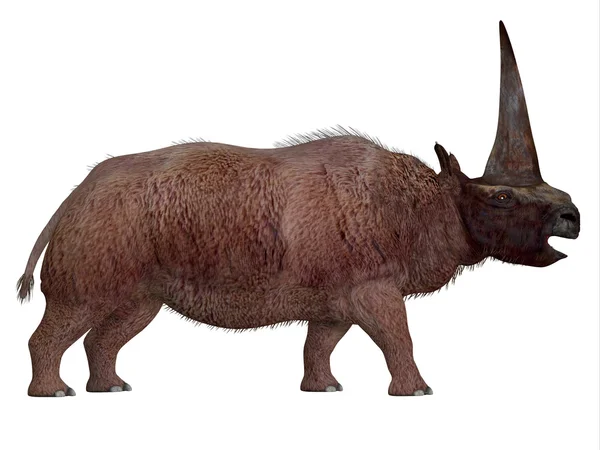 Elasmotherium sylwetki — Zdjęcie stockowe