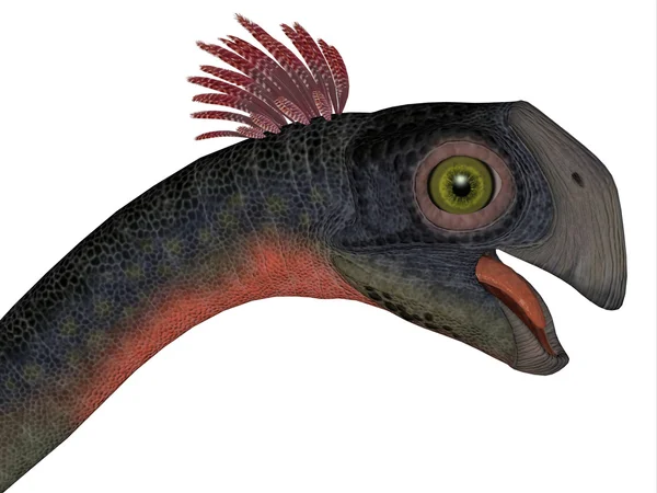 Голова гигантораптора динозавра — стоковое фото