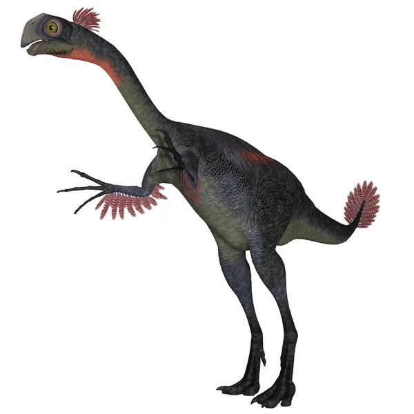 Gigantoraptor dinosaurie på vit — Stockfoto