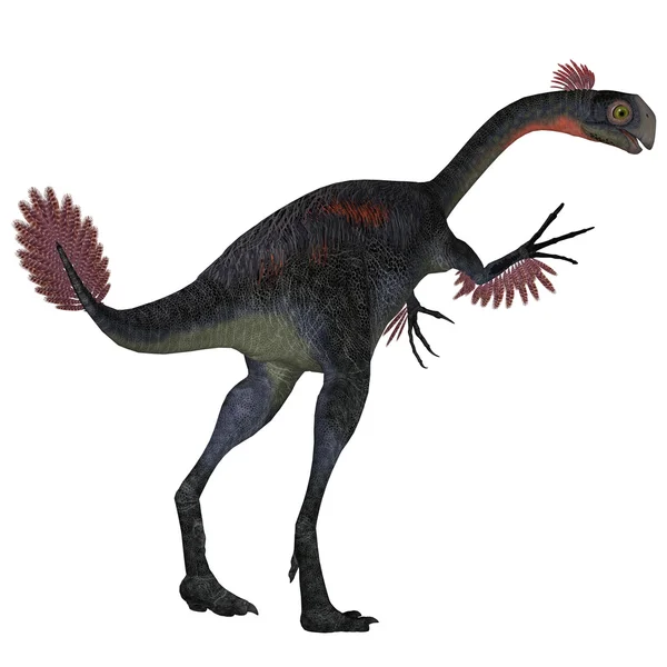 Gigantoraptor dinosaurie svans — Stockfoto