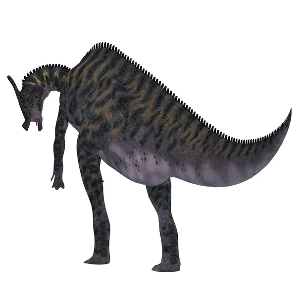 Saurolophus dinozor kuyruk — Stok fotoğraf