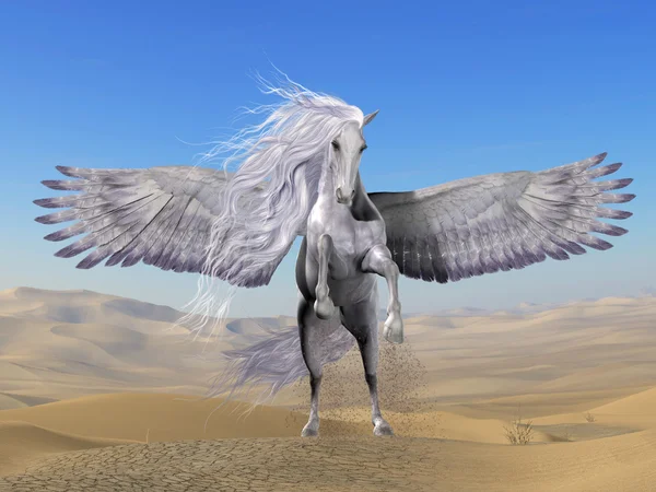 Weißer Pegasus in der Wüste — Stockfoto