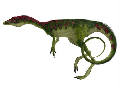 Compsognathus yan profili