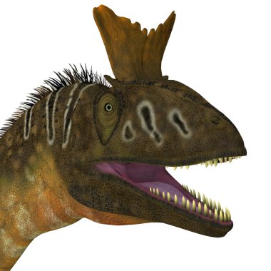 Cryolophosaurus kafa görünümü