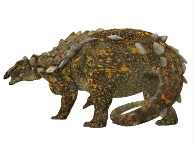 Gargoyleosaurus dinozor kuyruk