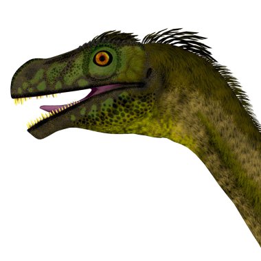 Ornitholestes dinozor kafası