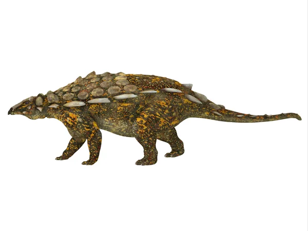 Gargoyleosaurus 侧剖面 — 图库照片