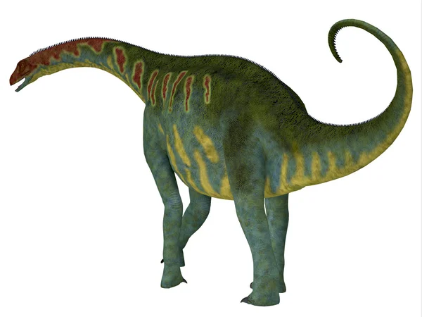 Jobaria Dinosaur staart — Stockfoto