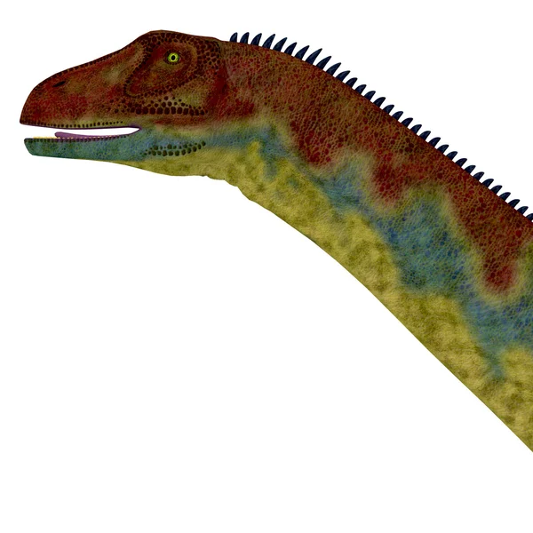 Jobaria dinosaurierkopf — Stockfoto