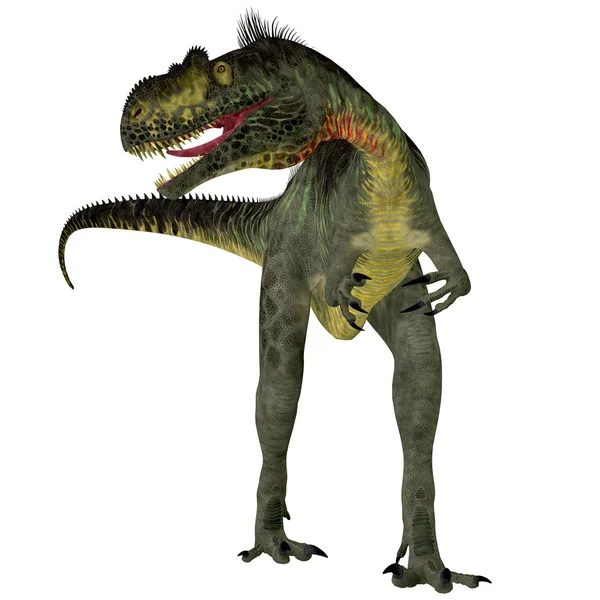 A Megalosaurus a fehér — Stock Fotó