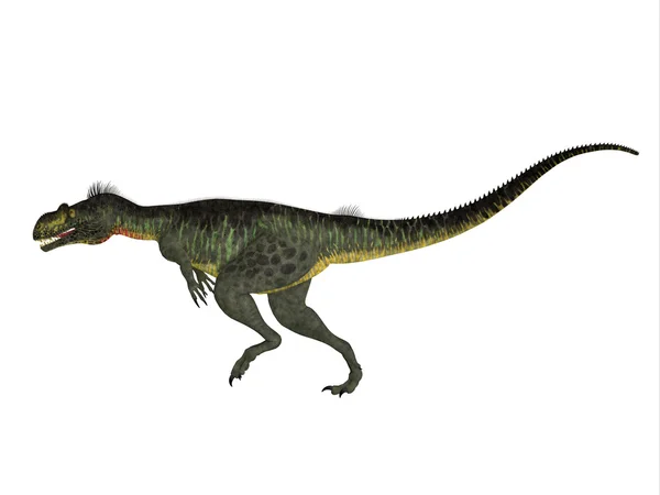 Seitenprofil des Megalosaurus — Stockfoto