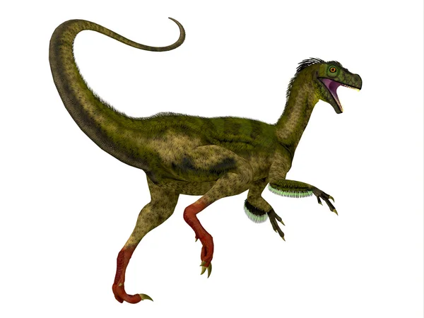 Ornitholestes dinosauří ocas — Stock fotografie