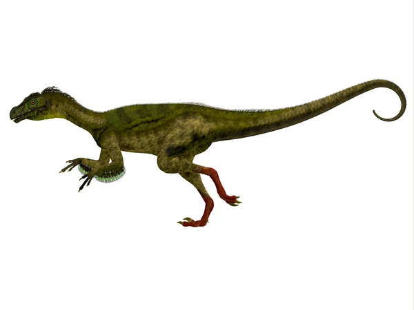 Ornitholestes 侧剖面 — 图库照片
