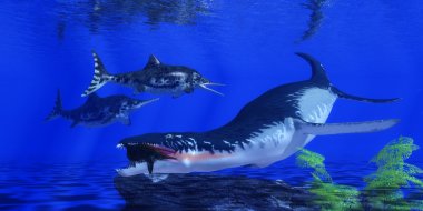 Bir Ichthyosaur Liopleurodon yakalar
