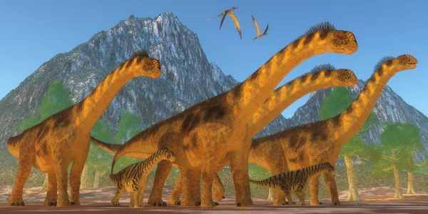 Prehistoric Camarasaurus Dinosaurs — Stock Photo, Image