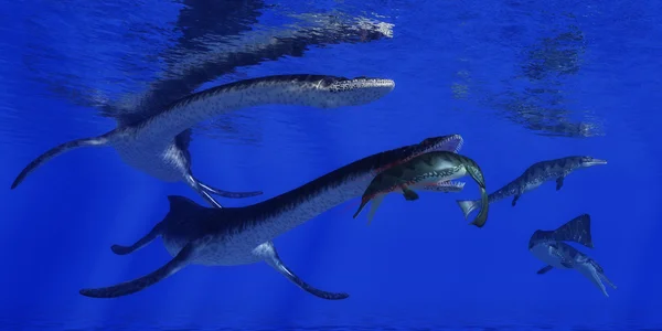 Plesiosaurus greift Metriorhynchus an — Stockfoto