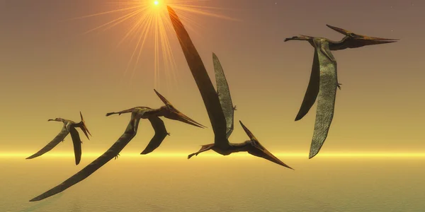 プテラノドン爬虫類飛行 — ストック写真