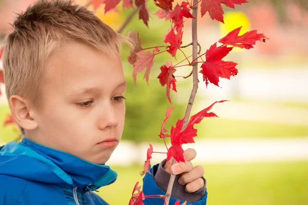 Melancholische jongen houdt tak met rode bladeren — Stockfoto