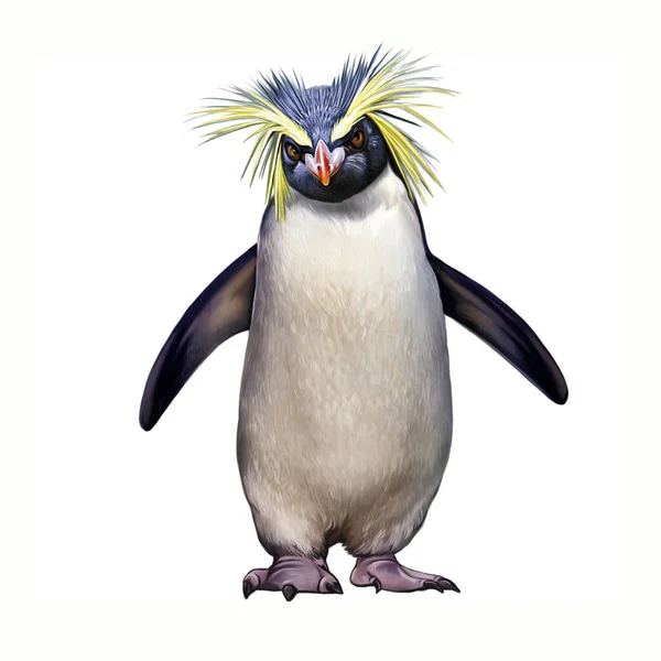 Macaroni Penguin Eudyptes Chrysolophus Реалістична Ілюстрація Новозеландської Енциклопедії Тварин Білому — стокове фото