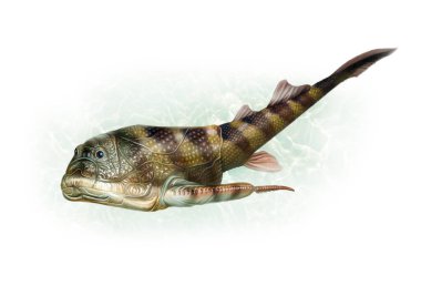 Botryolepis in water, extinct shell fish, devonian period paleozoic era, illustration for the encyclopedia of ancient animals, isolated image on white background clipart