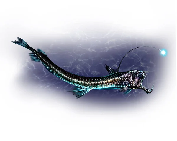 Viperfish (Chauliodus), açık deniz yırtıcı balığı, deniz ve okyanus sakinlerinin ansiklopedisi için gerçekçi bir çizim, beyaz arka planda izole edilmiş bir görüntü.