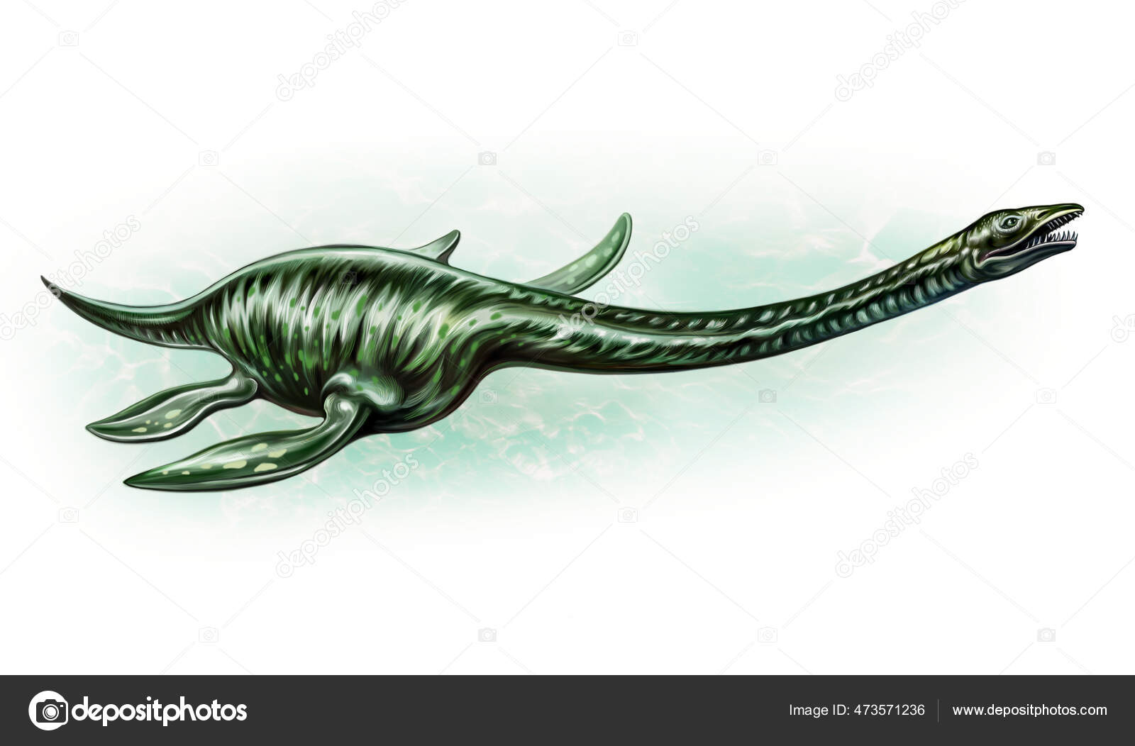 Plesiossauro Plesiosauria Desenho Realista Animais Extintos Dos