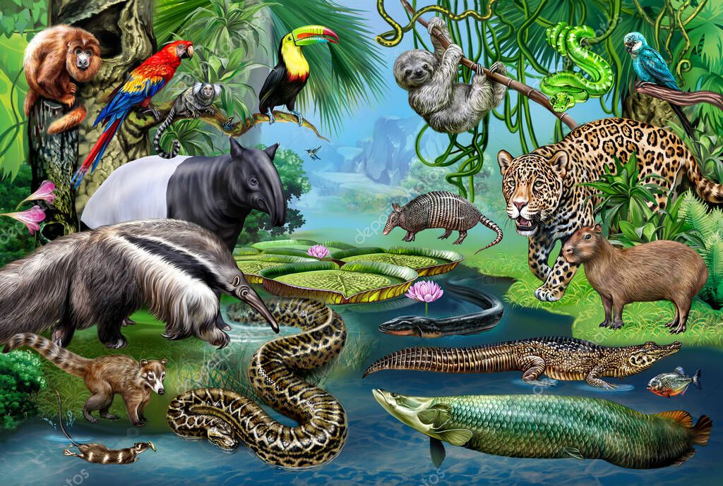 fauna brown nike tear away