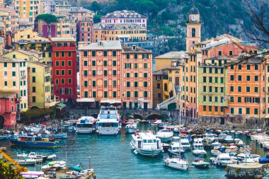 Camogli, İtalya. 22 Ekim 2017: İtalya 'nın Camogli kentinin panoramik manzarası. Ligurian Denizi. Renkli evler, tekneli küçük liman. İtalyan turizm beldesi.