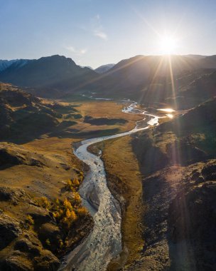 Green Hills, Mountains, Larches ve River Sunset 'te sonbaharda. Hava görüntüsü. Kosh-Agachsky Bölgesi, Altai Dağları, Rusya