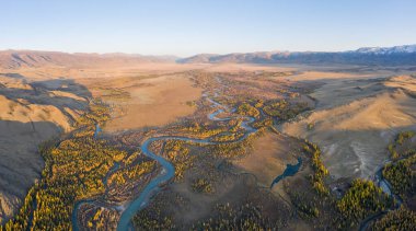 Kurai Steppe, Chuya Nehri, Sonbaharda Sunset 'teki Sarı Karaça ve Dağlar. Hava görüntüsü. Altai Dağları, Rusya