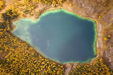 Sonbaharda Uchkel Gölü ve Yellow Larch Ormanı. Havadan Yukarıdan Aşağı Görünümü. Ulagan Platosu, Altai Cumhuriyeti, Rusya