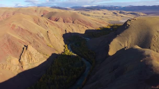 Bergen, Larches en Meanders of River in het najaar. Altai-gebergte, Rusland — Stockvideo