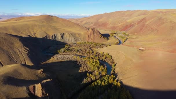 Rode heuvels van klei, bergen, Larches en rivier in de herfst. Altai-gebergte — Stockvideo