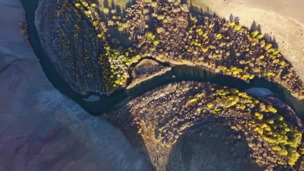 Meanders of River in het najaar. Luchtfoto 's. Kokorya. Het Altai-gebergte, Rusland — Stockvideo