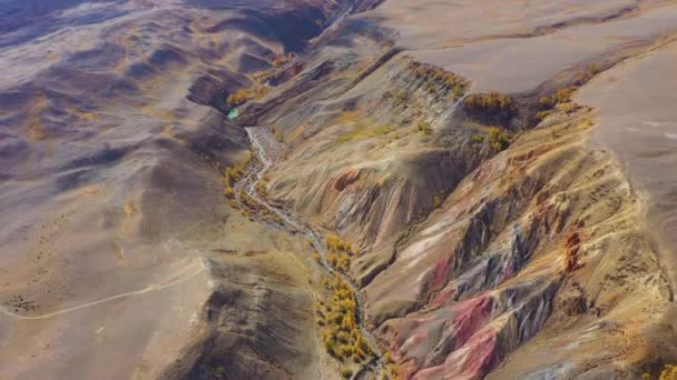 Red Hills of Clay, Mountains, and Larches in Autumn. Las montañas Altai, Rusia — Vídeo de stock