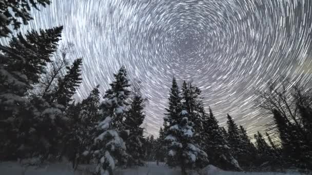 Via Láctea sobre árvores de coníferas na noite de inverno. Taganay, Urais do Sul, Rússia — Vídeo de Stock