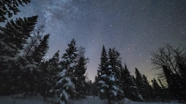 Melkweg boven naaldbomen tijdens de winternacht. Taganay, Zuidelijke Oeral, Rusland — Stockvideo