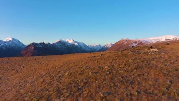 Фотографы и гора Бельтирду. Вид с воздуха. Алтайские горы — стоковое видео