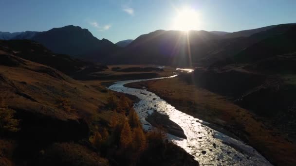 秋天的山脉、落叶松和河流。空中景观。阿尔泰山脉 — 图库视频影像