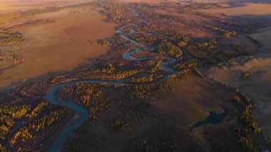 Kurai Steppe, Chuya Nehri, Sarı Karaçam ve Dağlar. Altai Dağları, Rusya
